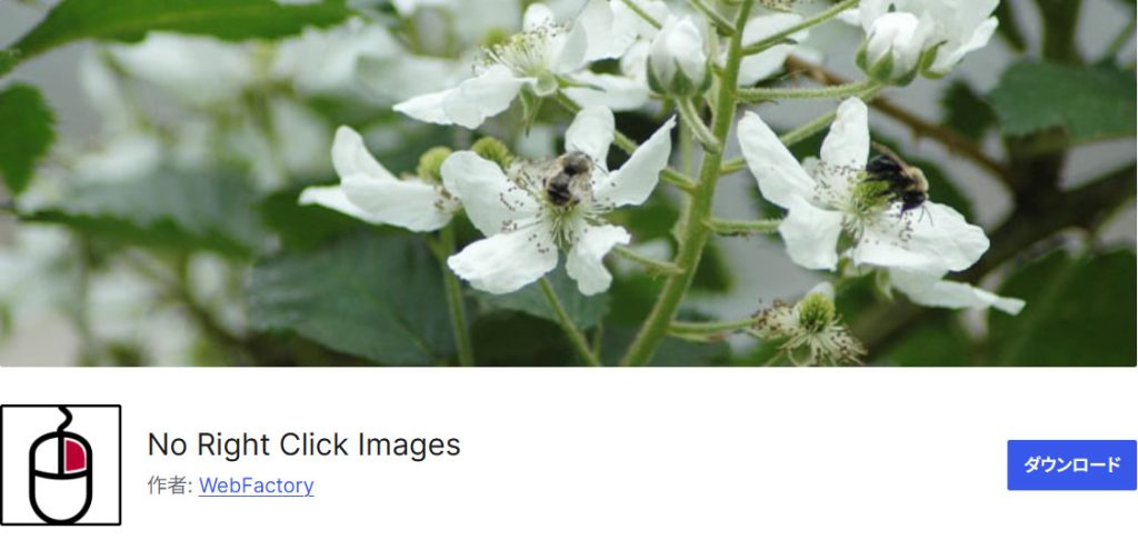 No Right Click Images Plugin
